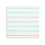 Aqua green striped paper napkins on a white background