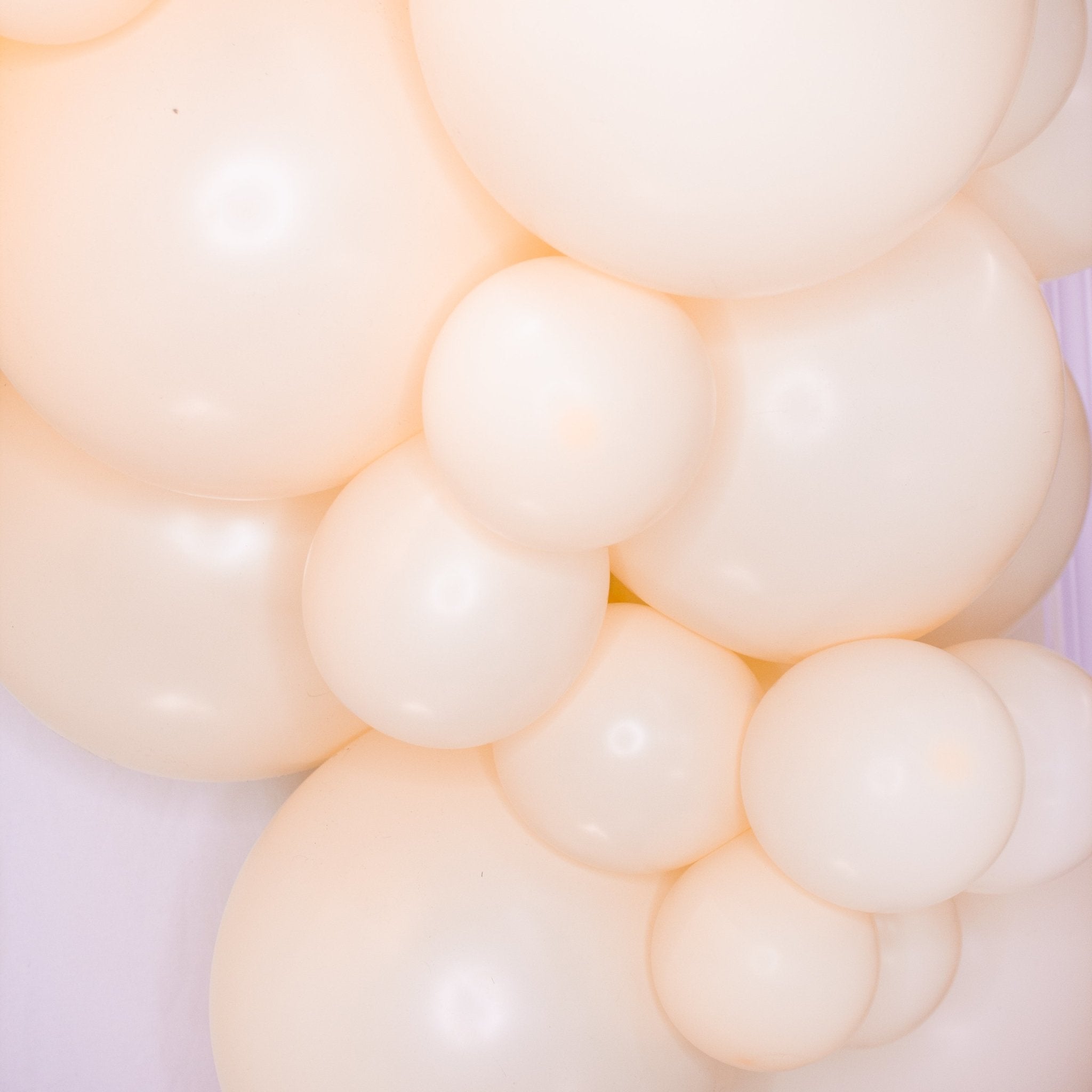 Blush Balloon Garland Kit Secondary image