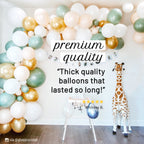 Balloon arch with colorful balloons and a giraffe toy in a room.