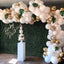 Balloon arch with white and gold balloons, cake, and 'Baby Due' sign against a green leafy wall.