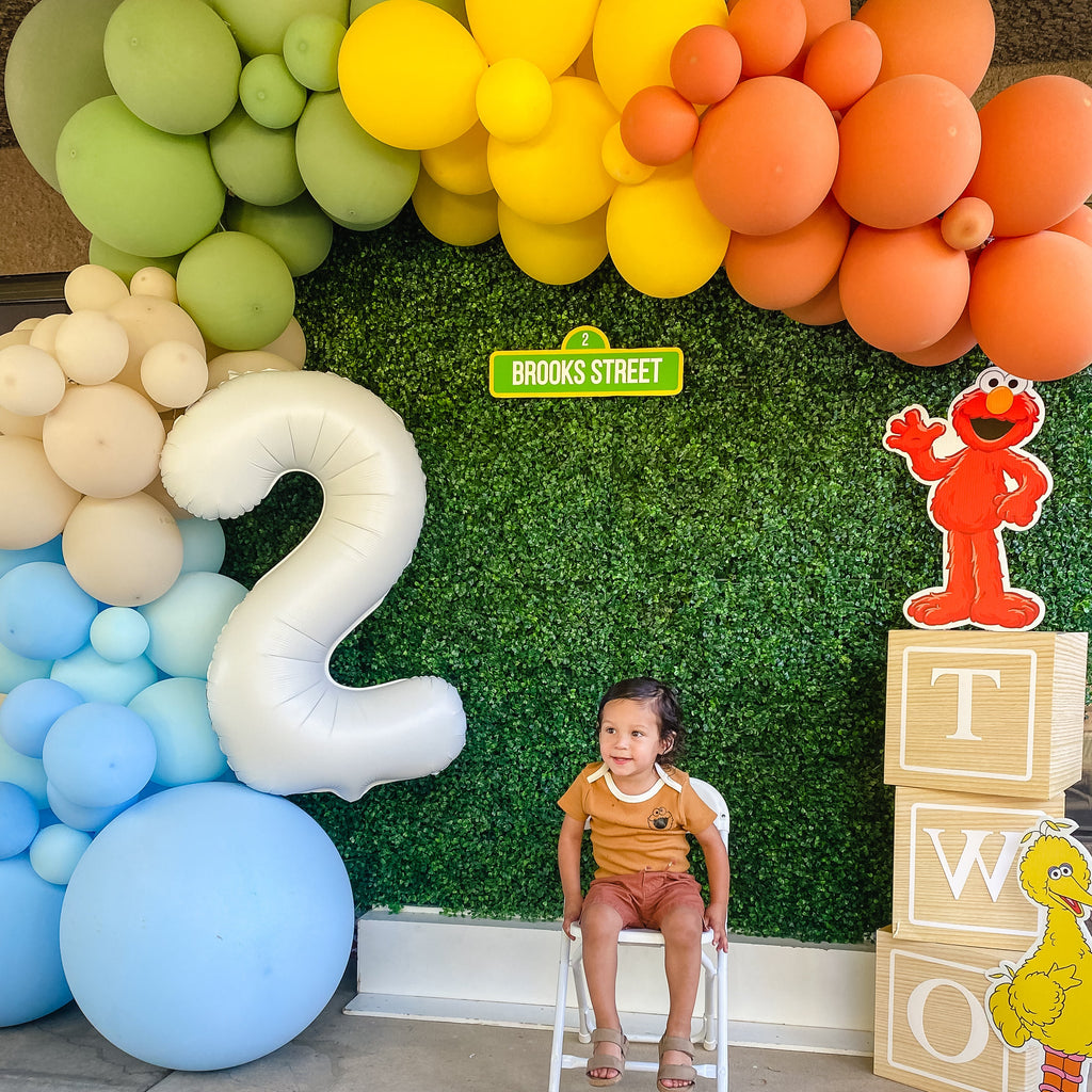 Neutral Rainbow Sesame Street Balloon Garland Kit