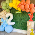 Neutral Rainbow Sesame Street Balloon Garland Kit