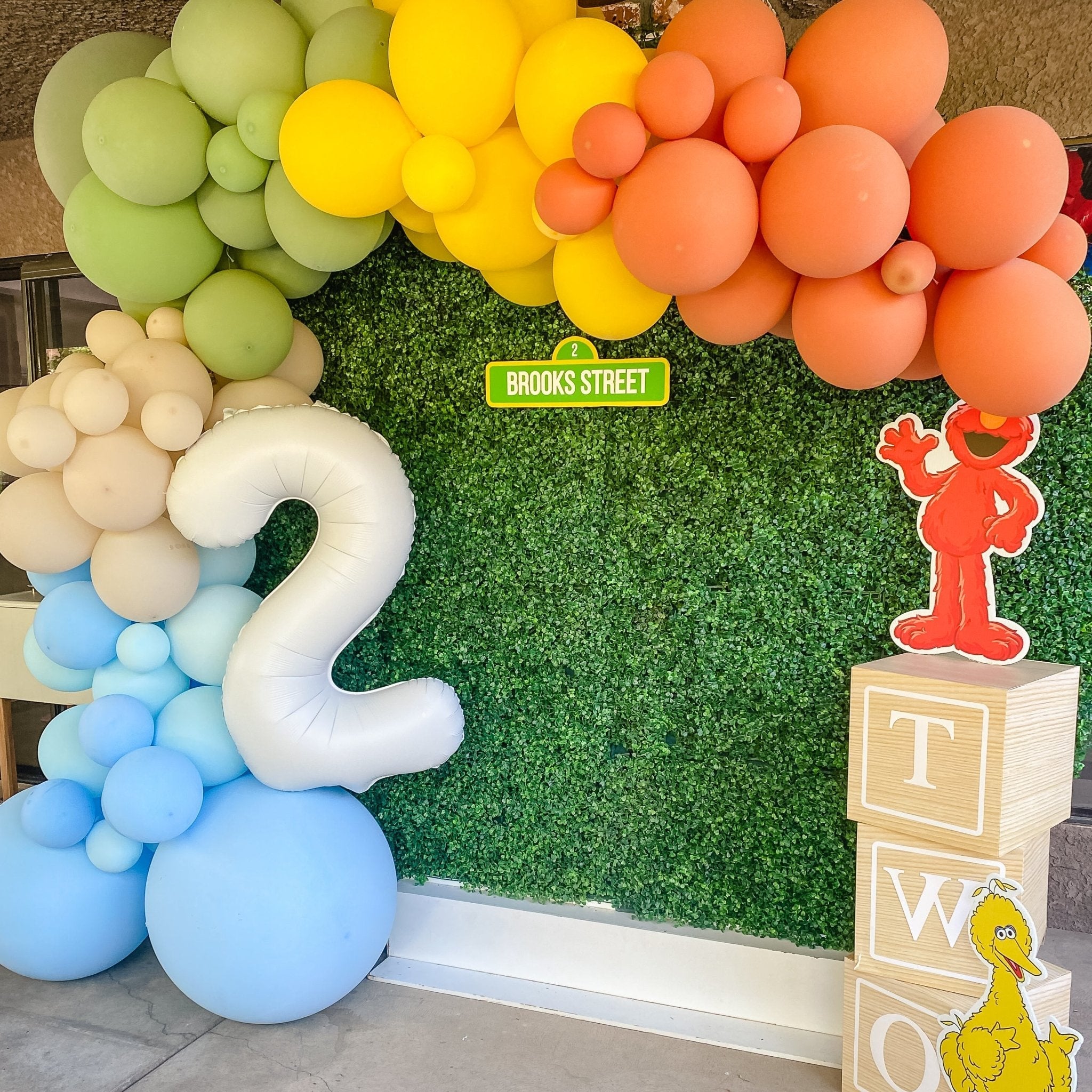 Neutral Rainbow Sesame Street Balloon Garland Kit