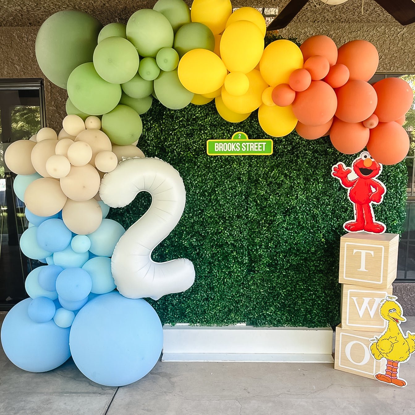 Neutral Rainbow Sesame Street Balloon Garland Kit