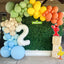 Neutral Rainbow Sesame Street Balloon Garland Kit