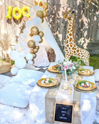White Balloon Garland 5 foot